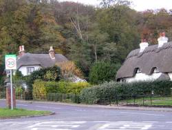 thatchedcottages.jpg
